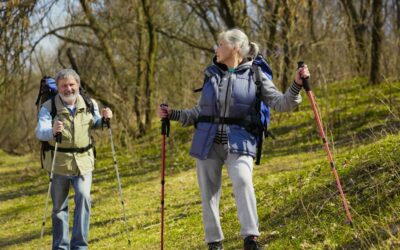 Top Outdoor Products for Hiking in 2026: The Ultimate Gear Guide for Adventurers